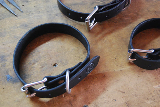 Dog Collar